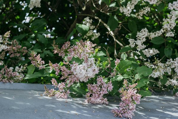 Déménagement malin : astuces infaillibles pour économiser gros